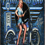 PUMP N GO GAS