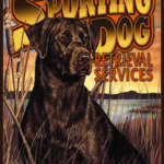 SPORTING DOG SERVICES