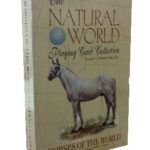 Natural World Of Horses