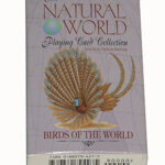 Natural World Birds Cards