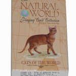 CAT BREED