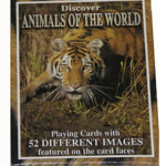 DISCOVER ANIMALS OF THE WORLD