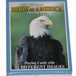 DISCOVER BIRDS
