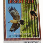 DISCOVER DESERT LIFE