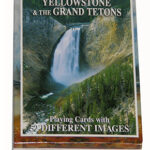 DISCOVER YELLOWSTONE