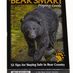 BEAR SMART