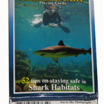 DISCOVER SHARK SMART